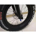 Light Weight Foldable Ebike/Fat Tire Folding E Bike with Disc Brake